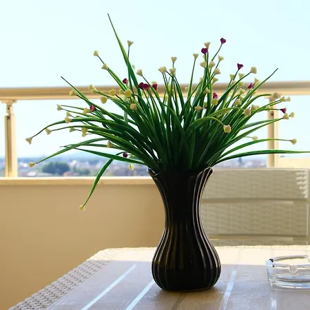 Appartement A'mare *